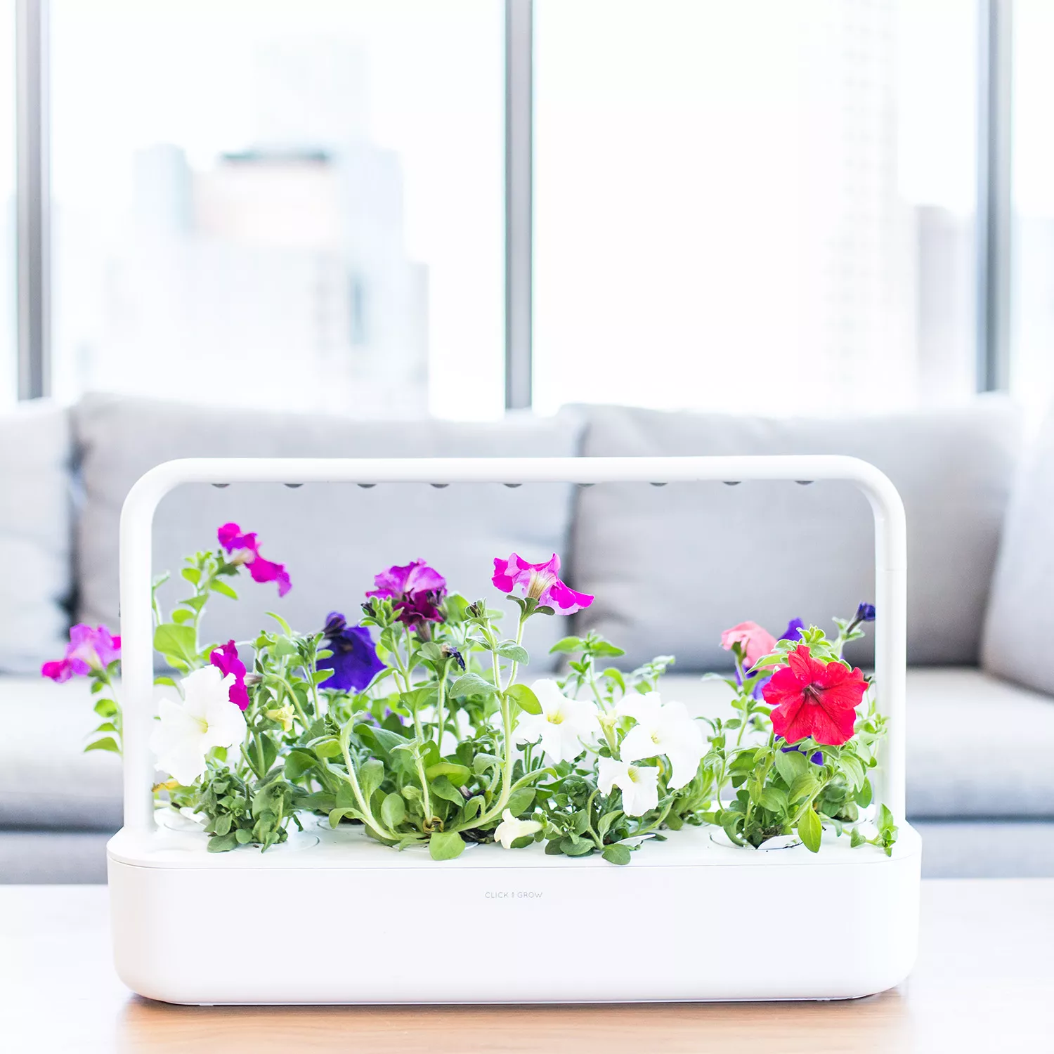 Click And Grow Smart Garden 9