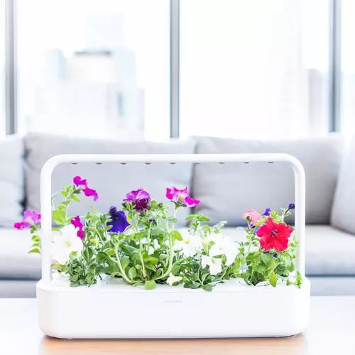 Click And Grow Smart Garden 9