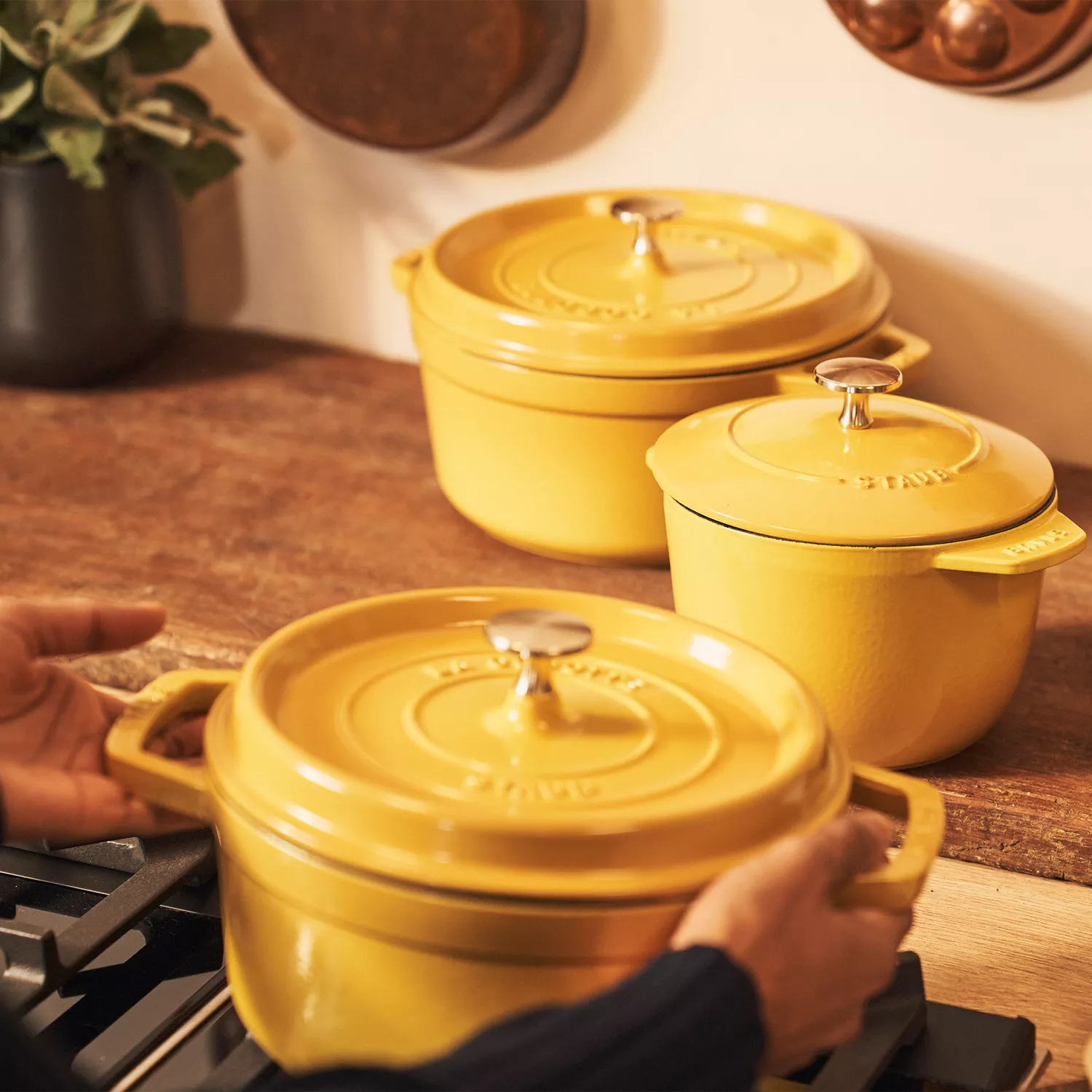 Staub Round Dutch Oven, 7 qt.