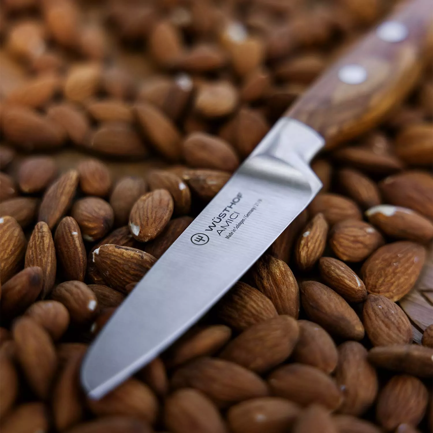 Wüsthof Amici Paring Knife, 3.5"