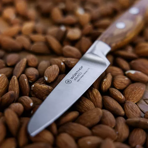 Wüsthof Amici Paring Knife, 3.5&#34;