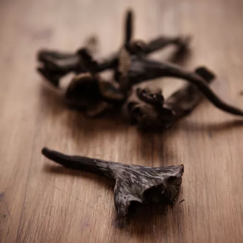 Black Duck with Black Trumpet Mushroom Soil, Black Garlic Puree and Blackened Long Carrots