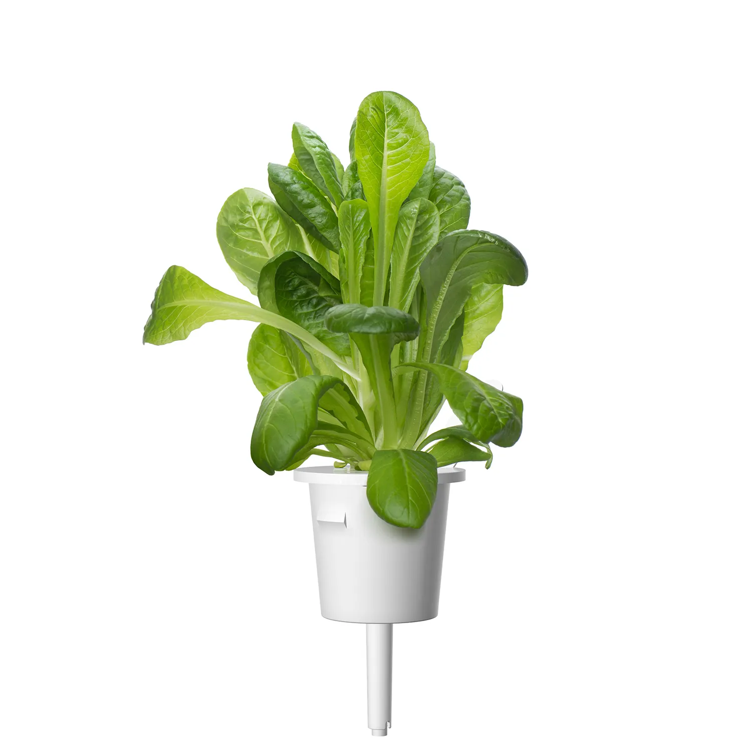 Click and Grow Plant Pods, 9 Pack