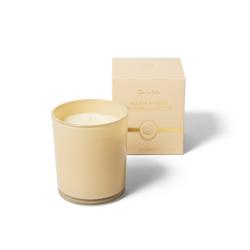 Sur La Table Warm Amber and Sandlewood Candle