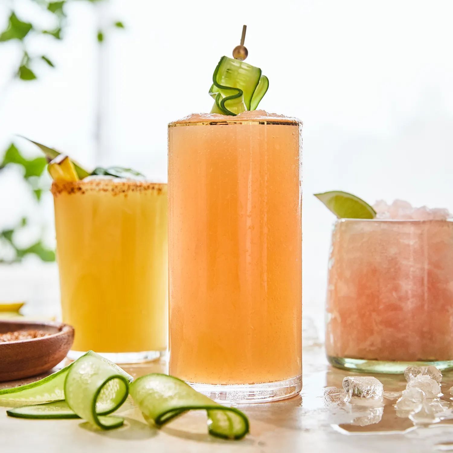 Sur La Table Gold Rim Highball Glass