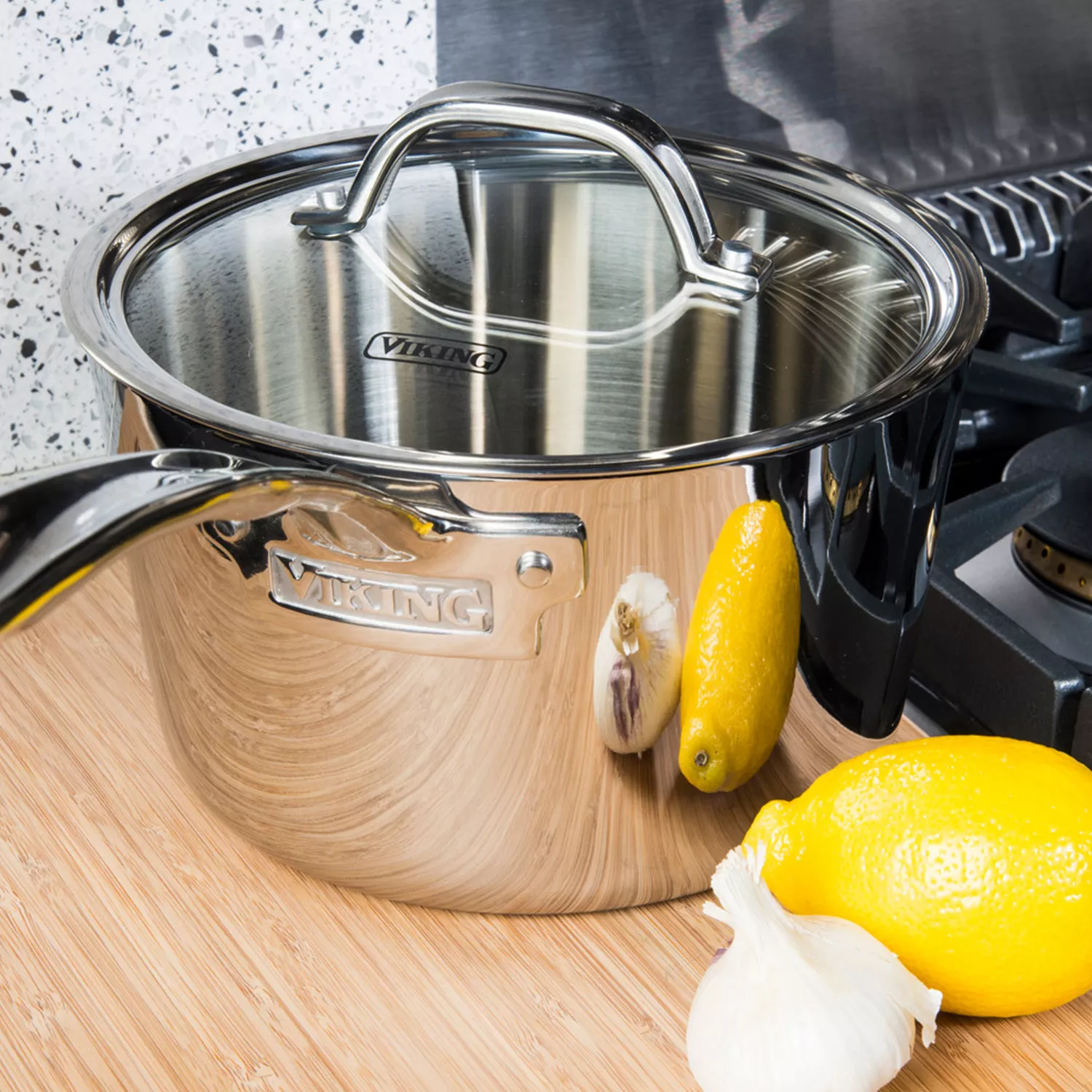 Viking Saucepan with Lid