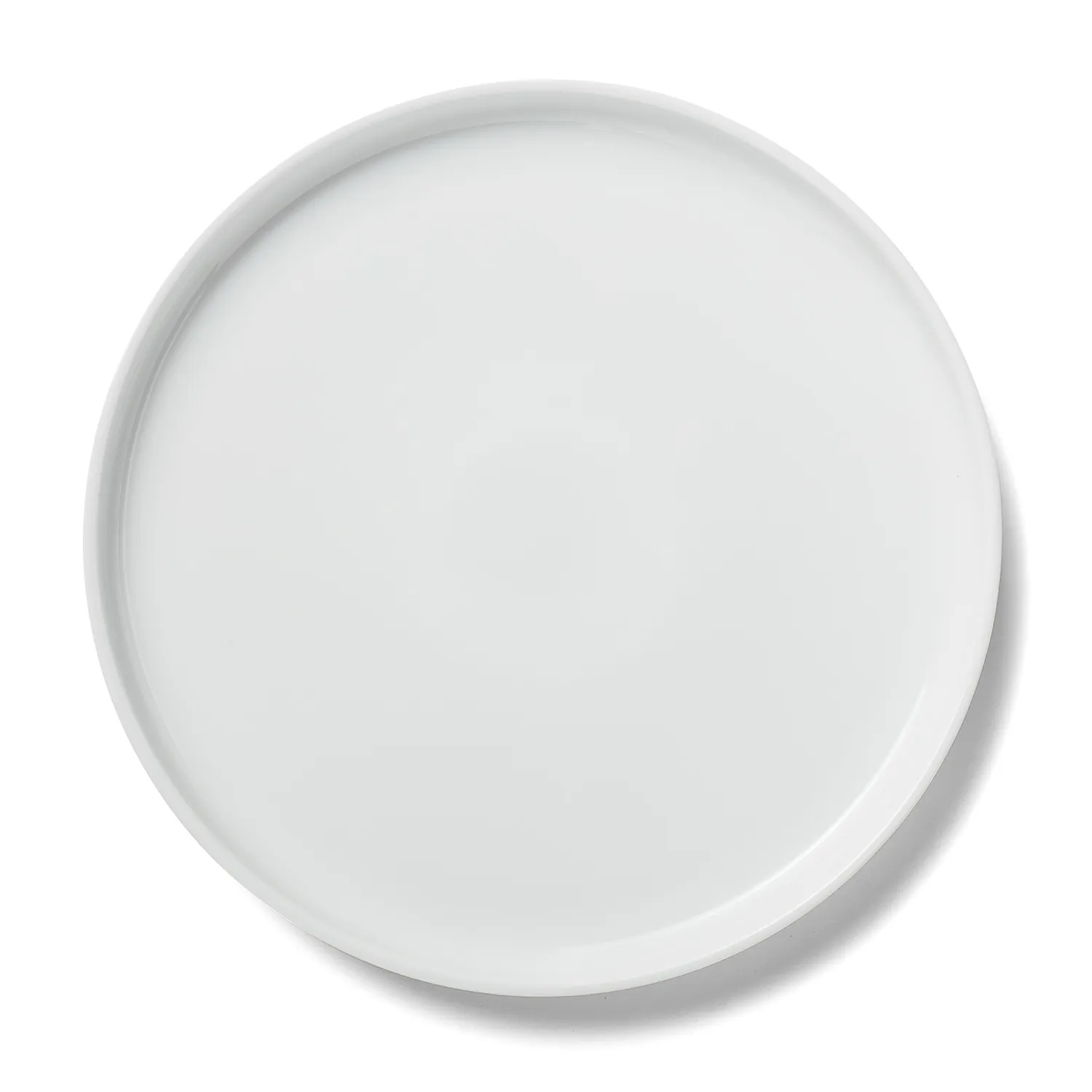 Sur La Table Coupe Dinner Plate
