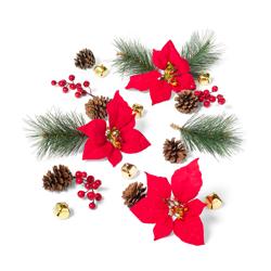 Sur La Table Holiday Scatter, 22 Pieces