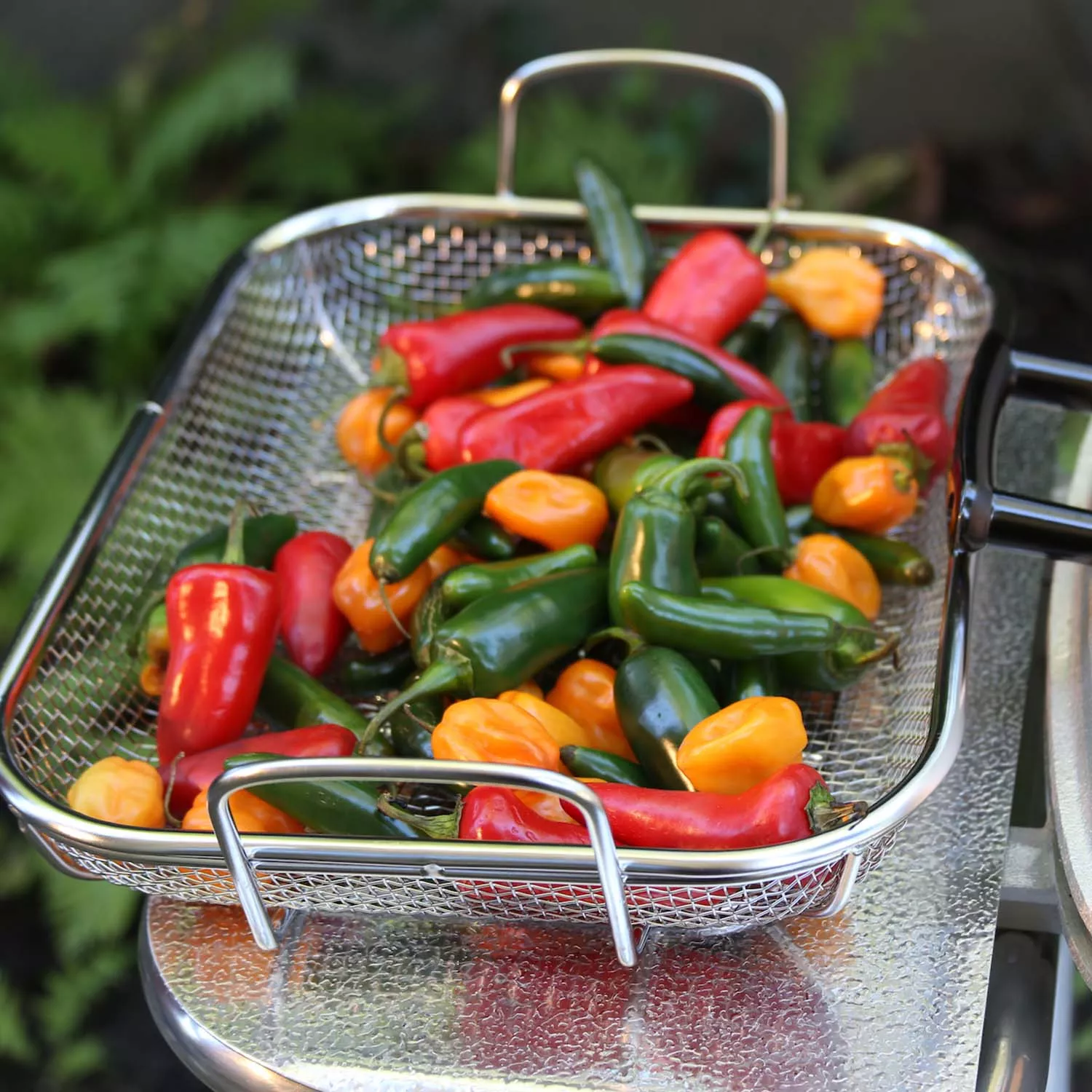 Outset Stainless Steel Roasting Basket