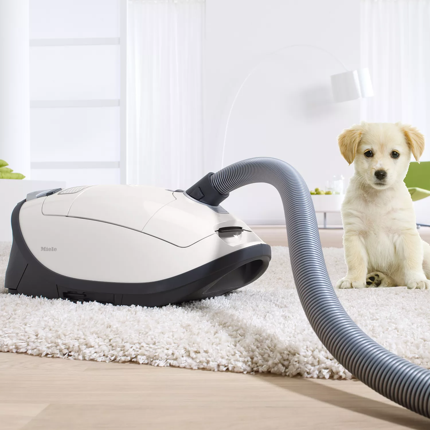 Miele Complete C3 Cat La Dog Sur & Table | Vacuum