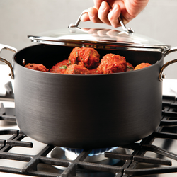 All-Clad Essentials Nonstick 7qt Stockpot with Pasta and Steamer Insert
