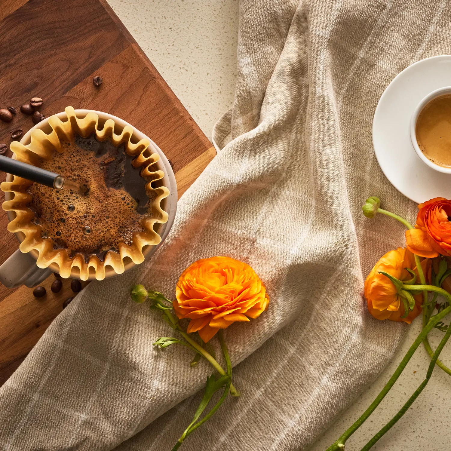 Sur La Table Stoneware Coffee Dripper