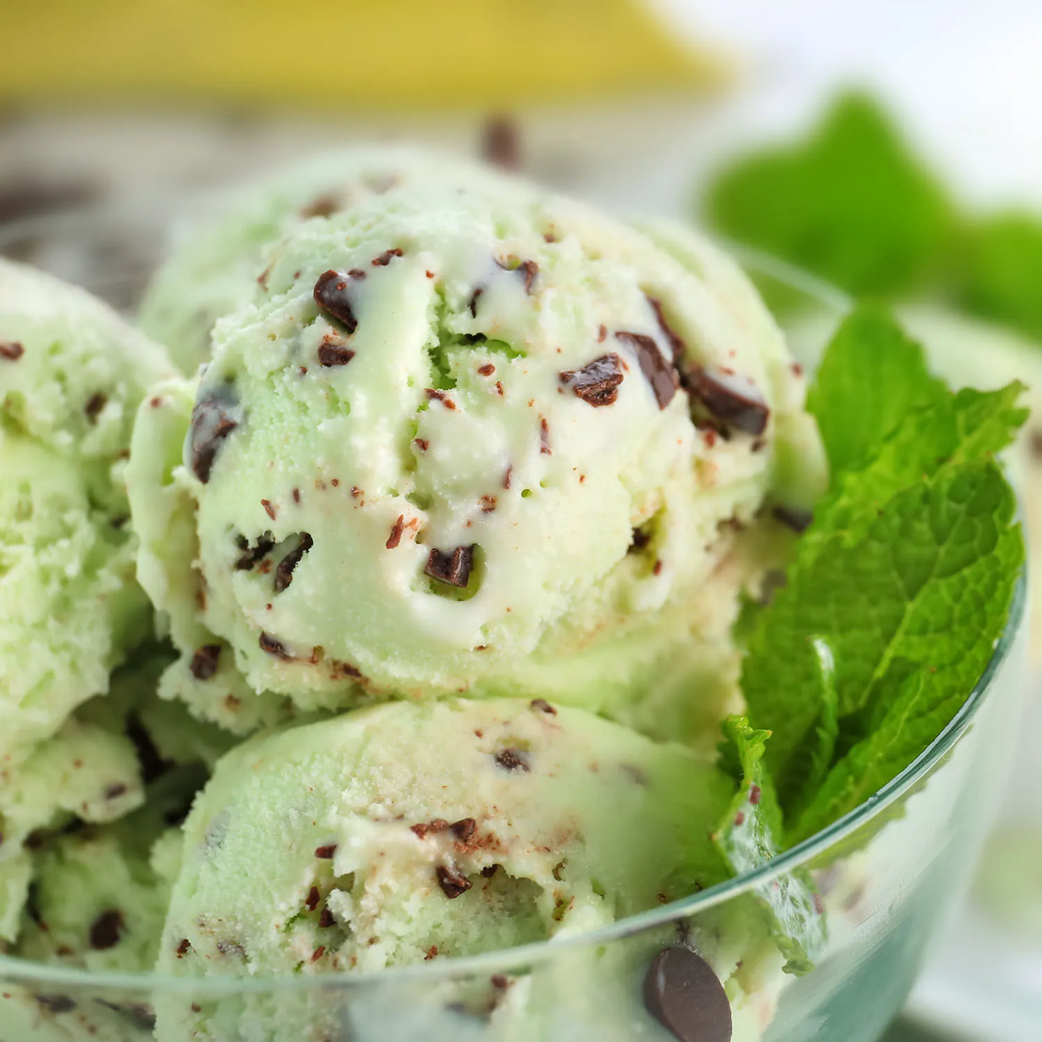 Family Fun: Italian Favorites - image 4