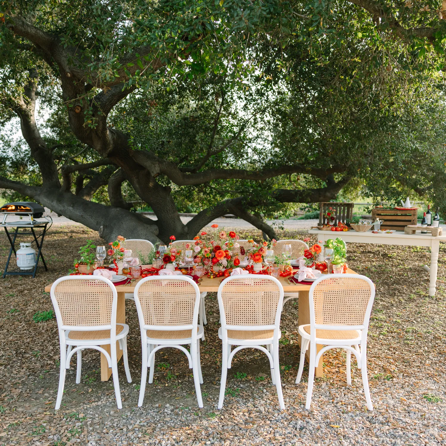 Fortessa Gold Brushed Velo Flatware Set, 20-Piece Set