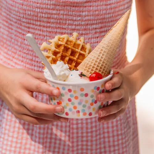 Sur La Table Melamine Ice Cream Bowls, Set of 4