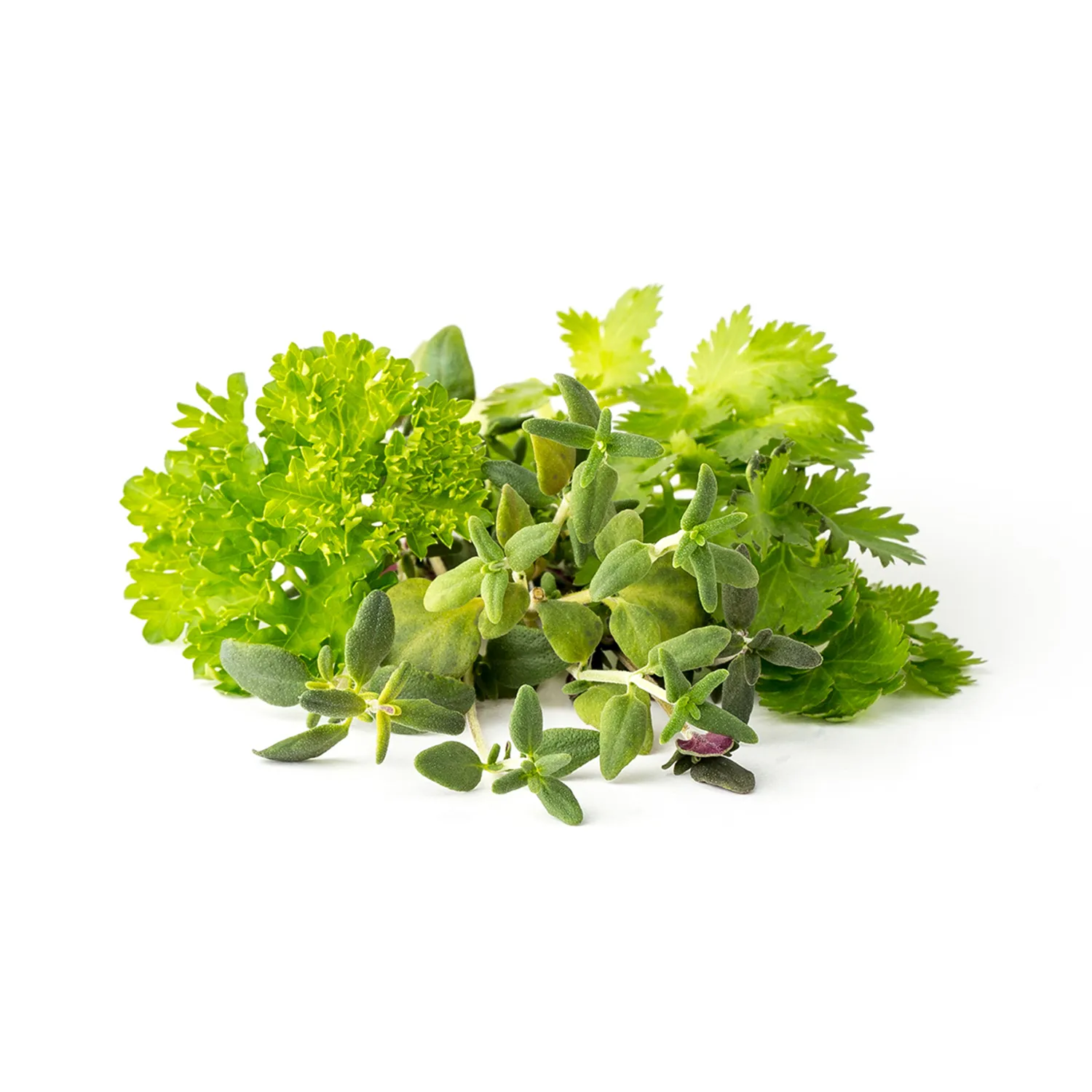 Click and Grow Plant Pods, 9 Pack