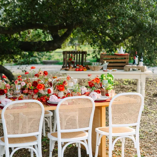 Sur La Table Optic Gold Rim Wine Glass 