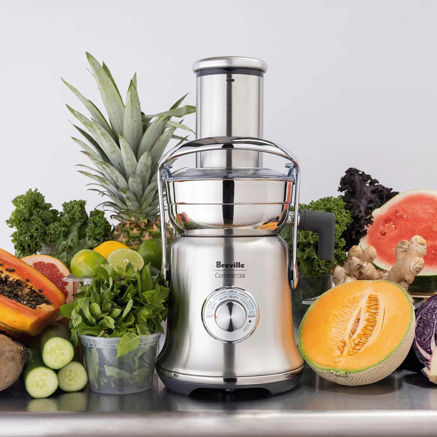 Breville Juice Fountain XL Pro