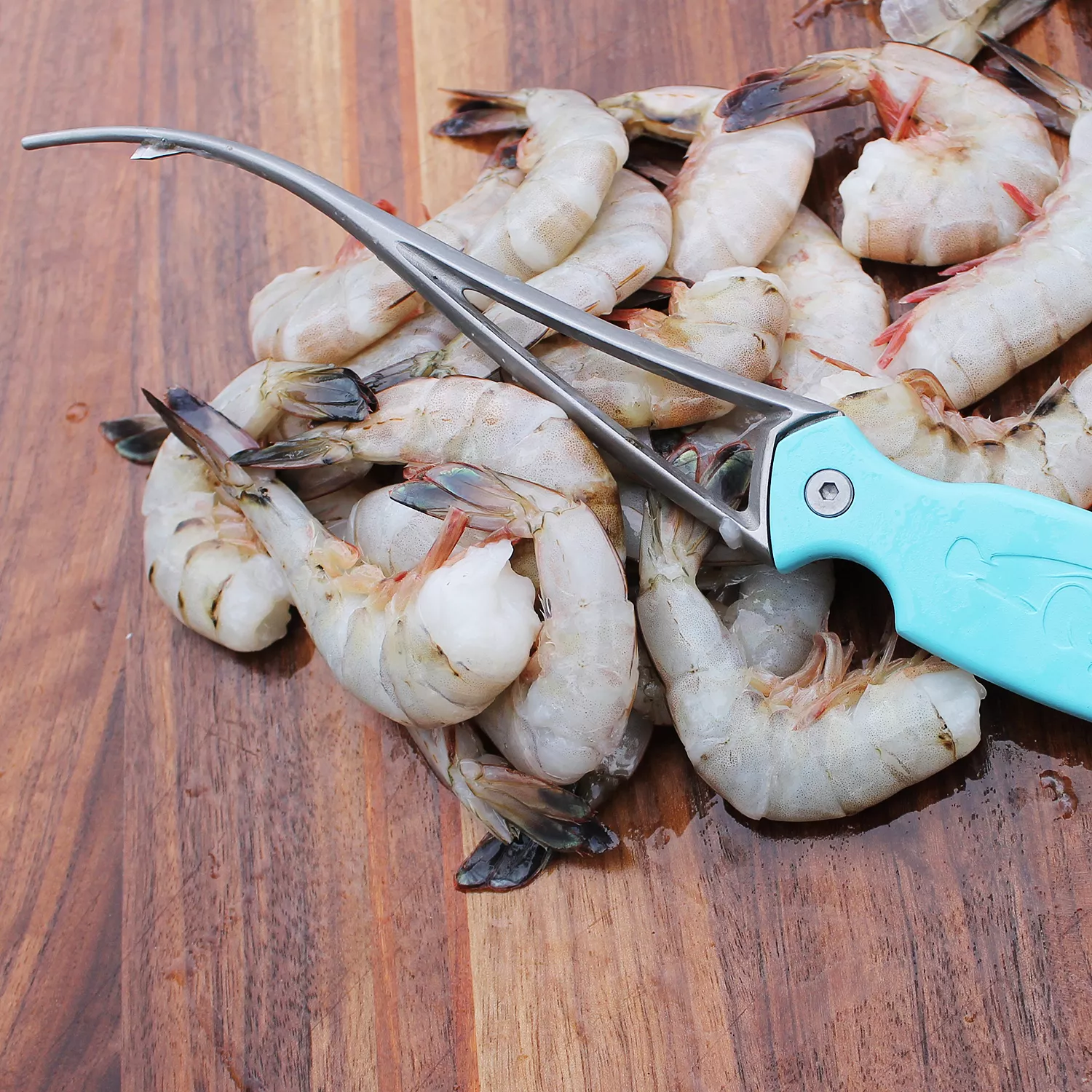 Toadfish Shrimp Cleaner