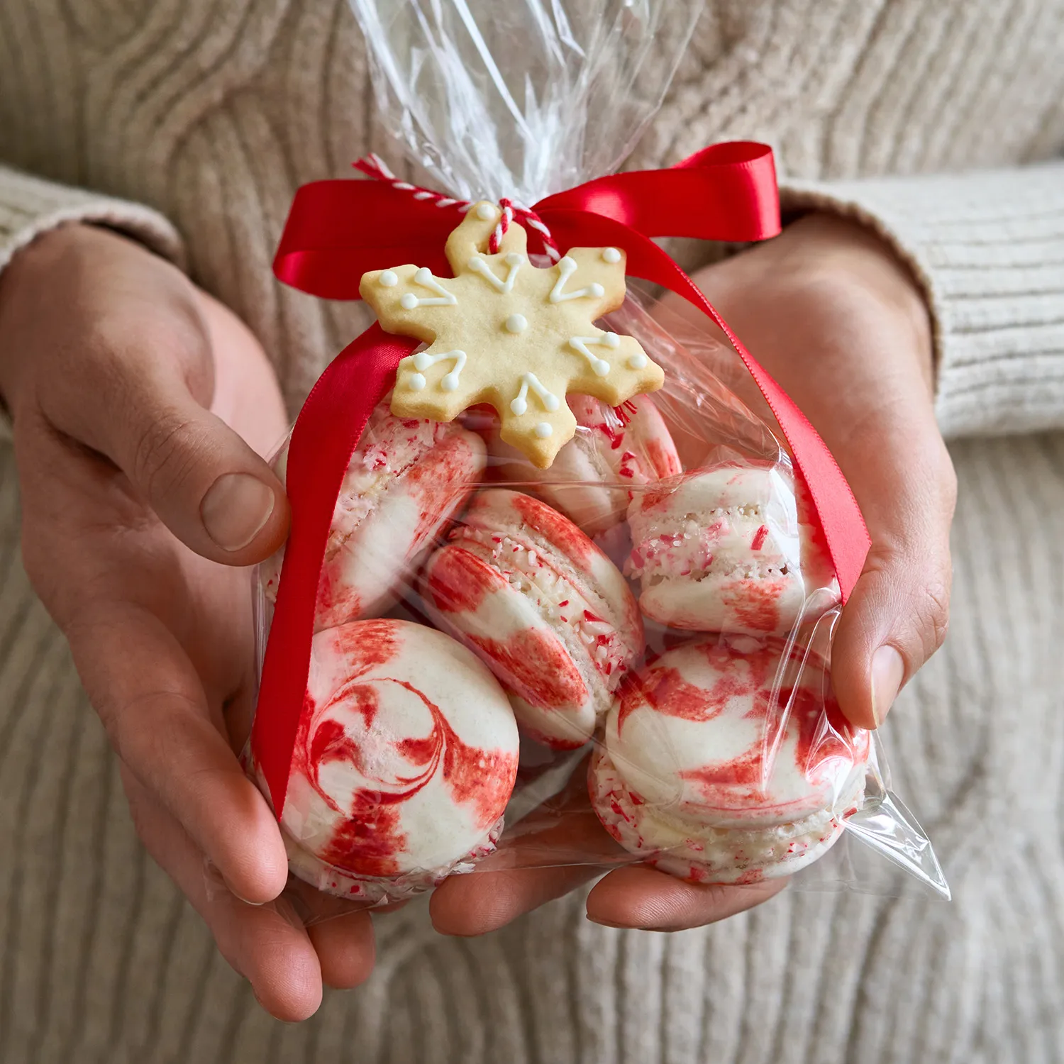 Holiday Macaron Workshop - image 1
