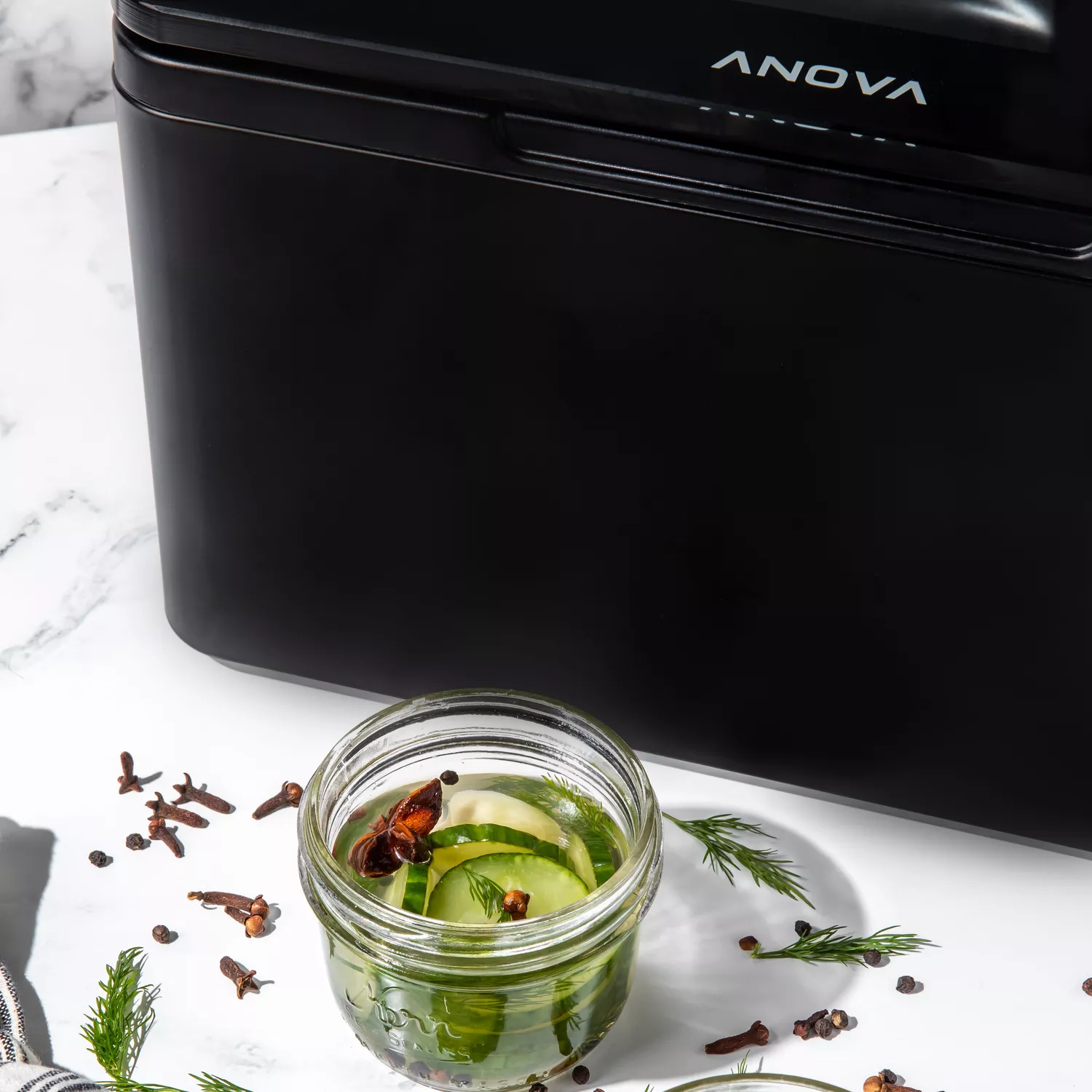 Anova Precision Chamber Vacuum Sealer | Sur La Table