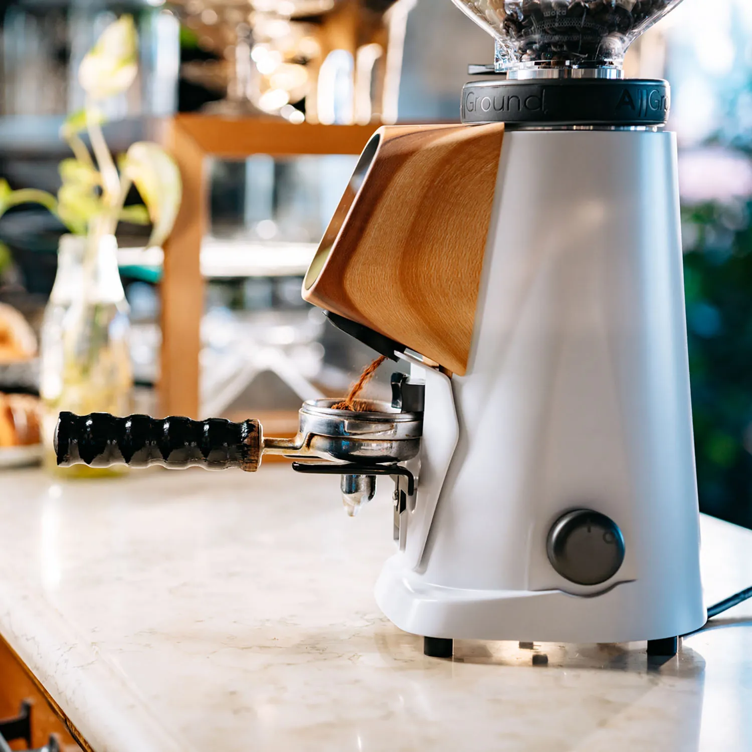 Fiorenzato Allground Sense All-Purpose Home Espresso Grinder