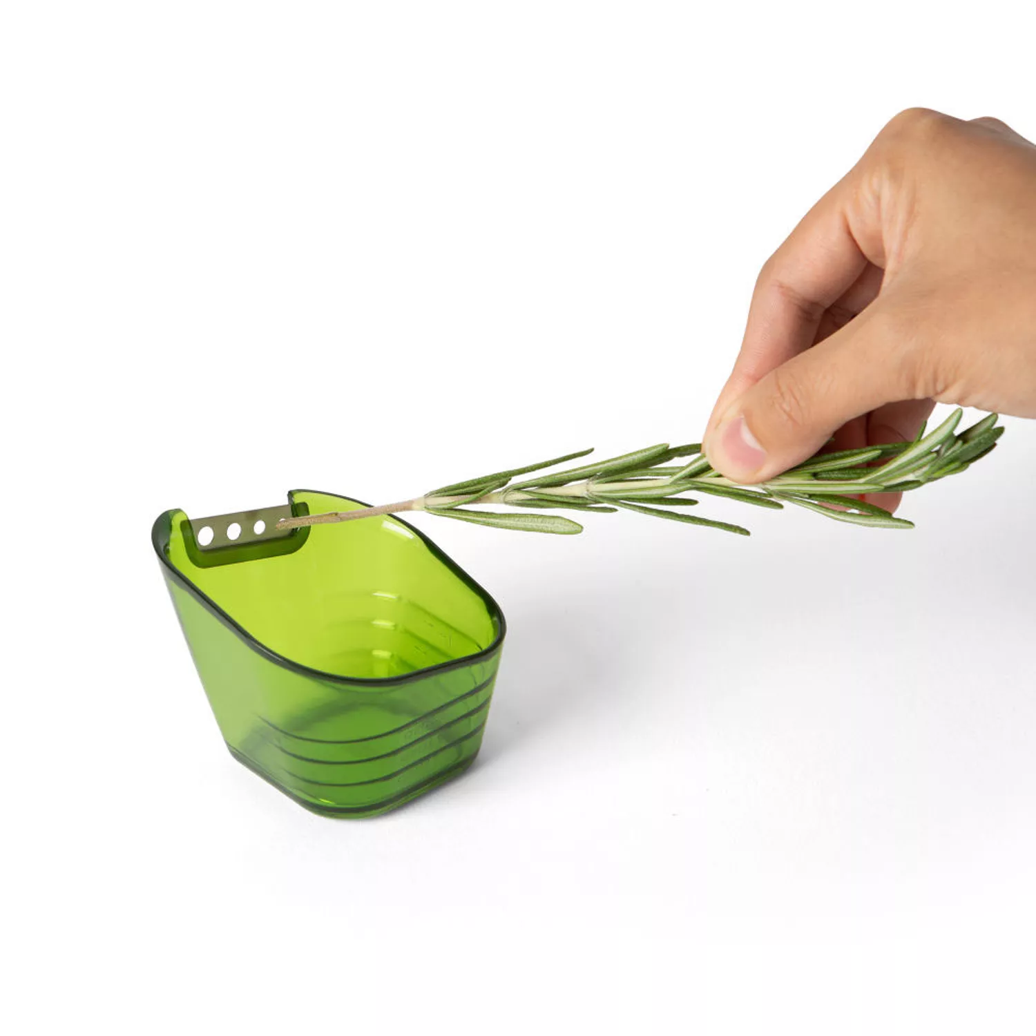 Herb & Garlic Bowl - Garlic Grater and Herb Stripper in One — Back